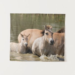 Mare with Foal Crossing a River Tapestry