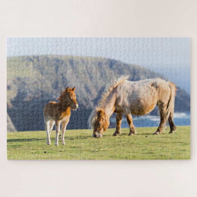 Mare with Foal, Shetland islands, Scotland Jigsaw Puzzle (Horizontal)