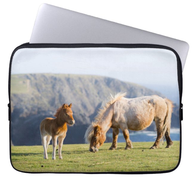 Mare with Foal, Shetland islands, Scotland Laptop Sleeve (Front)
