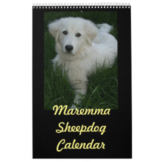 Maremma Sheepdog Calendar
