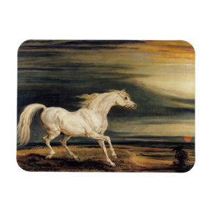 Marengo the White Horse Magnet