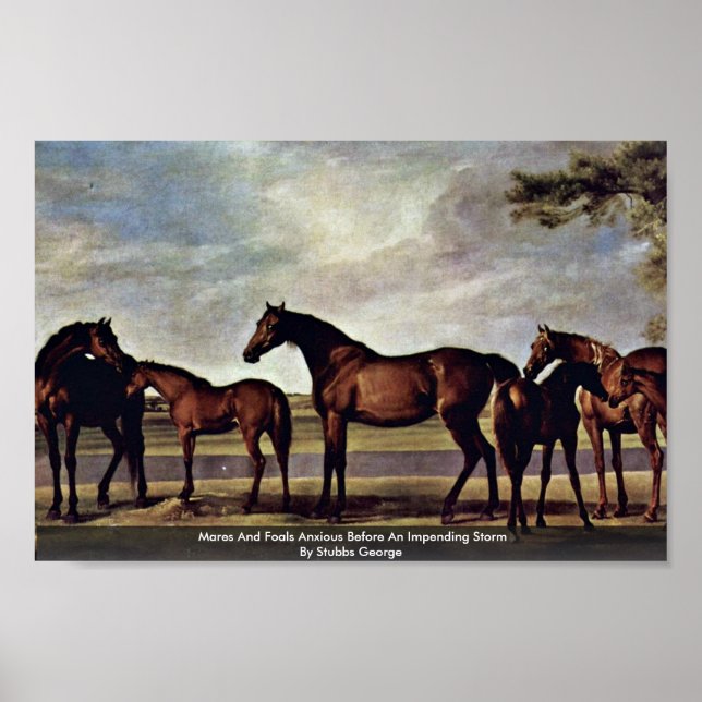 Mares And Foals Anxious Before An Impending Storm Poster (Front)