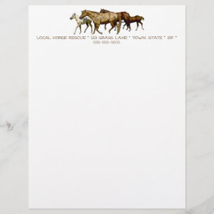 Mares and Foals Drawing Customized Letterhead
