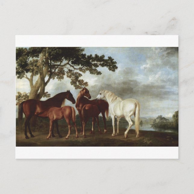 Mares and Foals in a River Landscape George Stubbs Postcard (Front)