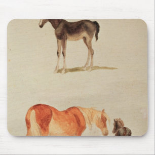 Mares and foals mouse pad
