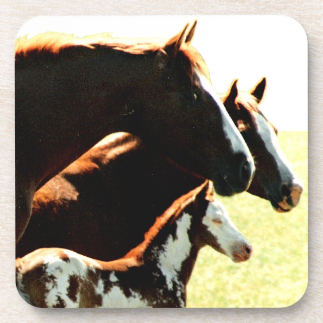 Mares and Foul Horses Coaster (Front)