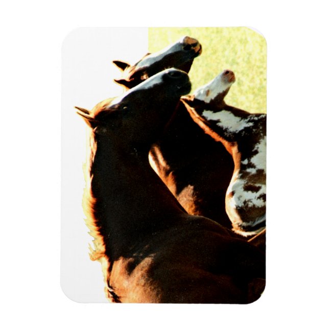 Mares and Foul Horses Magnet (Vertical)