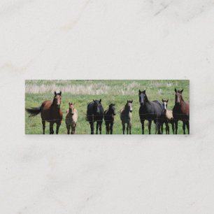 "Mares & Foals" Bookmark Mini Business Card