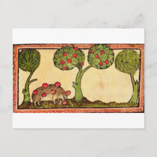 Marginalia Hedgehog Postcard