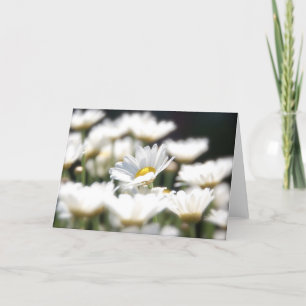 Marguerite Daisy Card