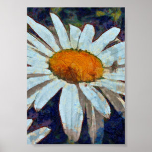 Marguerite Daisy with Winged Insects Floral Art Poster