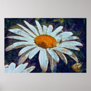 Marguerite Daisy with Winged Insects Floral Art Poster
