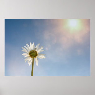 Marguerite - poster