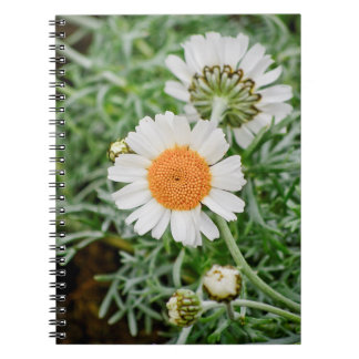 Marguerite Spiral Notebook