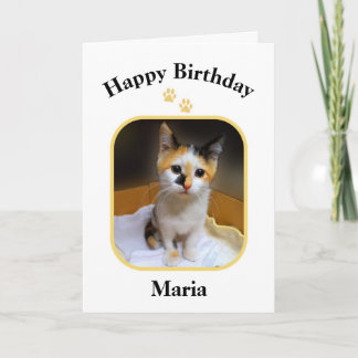 Maria Calico Kitten Happy Birthday Card