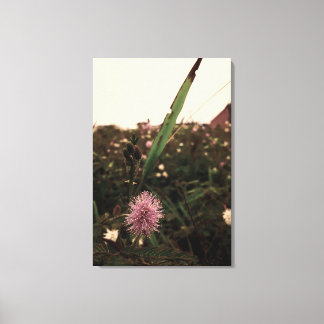 Maria-closed-door-FILTRO Canvas Print