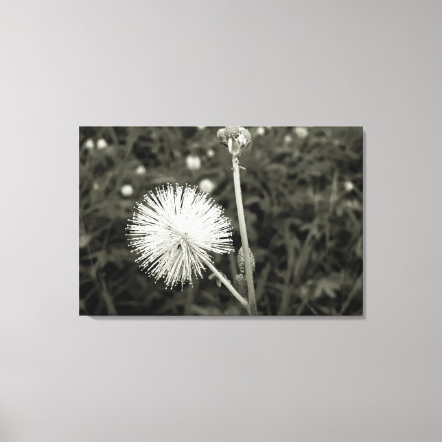 Maria-closes door-to-door canvas print (Front)