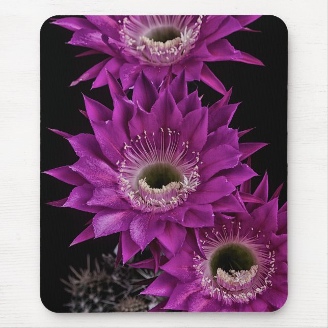 Maria Piazza to the third Mouse Pad (Front)