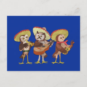 Mariachi Owl band Postcard