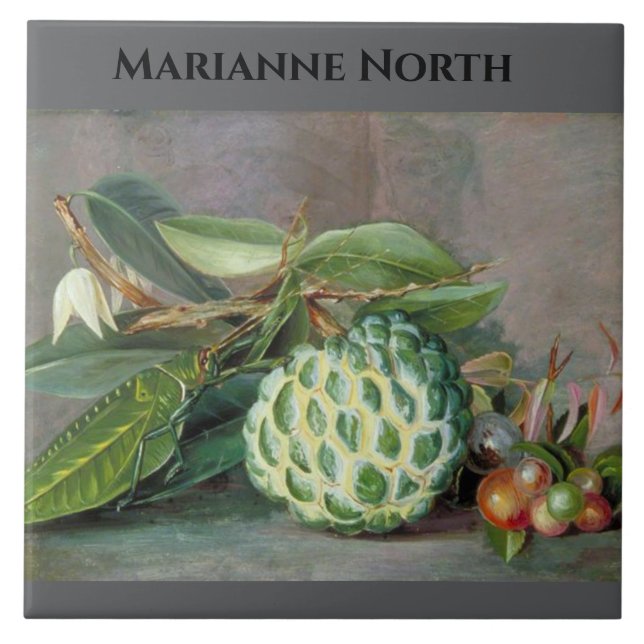 Marianne North Custard Apple Painting Tile (Front)