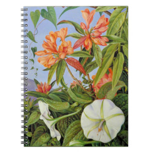 Marianne North - Javan Rhododendrum Notebook
