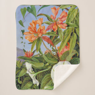 Marianne North - Javan Rhododendrum Sherpa Blanket