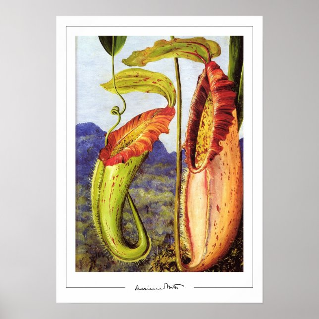 Marianne North Zedign Art Poster #1 (Front)