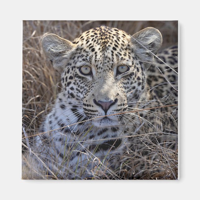 Maribye hiding in the grass magnet (Front)