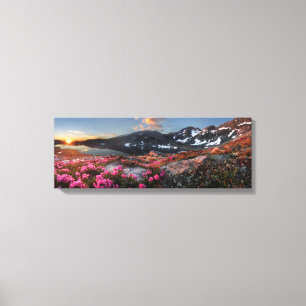 Marie Lakes Sunrise - John Muir Trail - Sierra Canvas Print