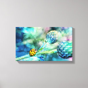 Marienkäfer Canvas Print