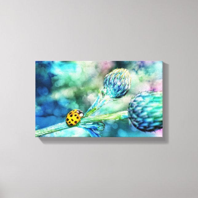 Marienkäfer Canvas Print (Front)