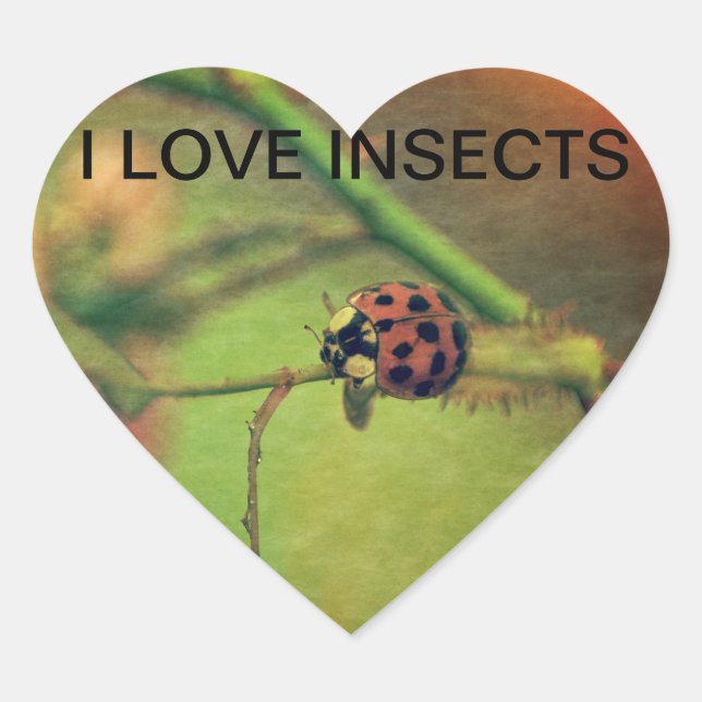 Marienkäfer Heart Sticker (Front)