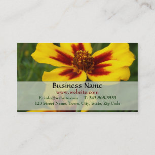 Marigold Business Card