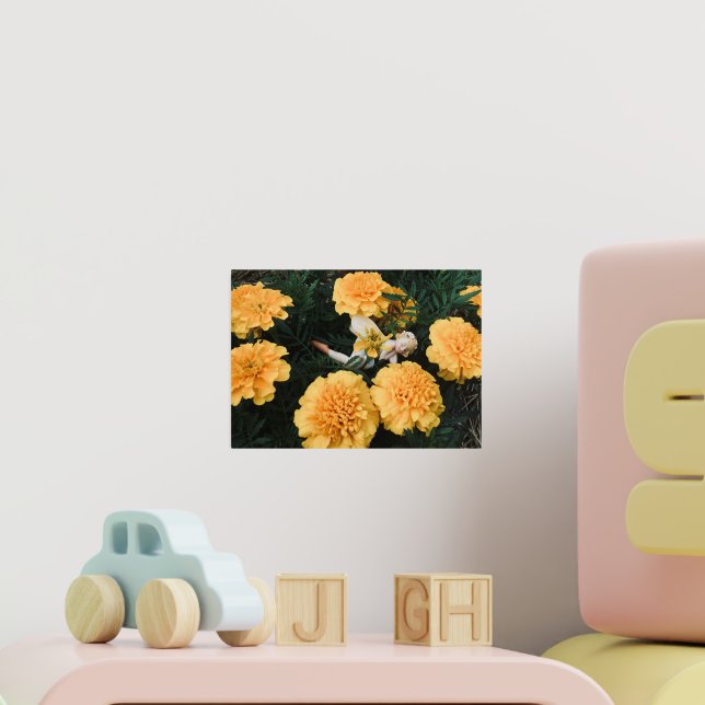 Marigold Fairy Foil Prints (In Situ (Nursery 2))