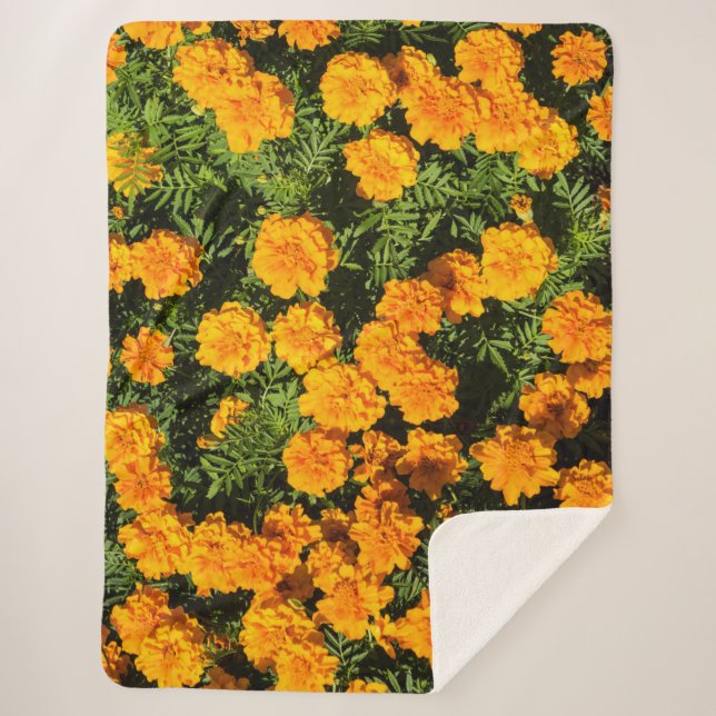 Marigold flower in blossoms sherpa blanket (Front)