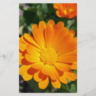 marigold flower stationery