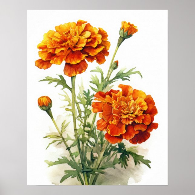 Marigold Flowers Art Print Poster (Front)