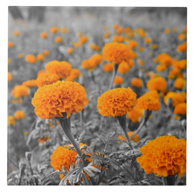 Marigold flowers tile (Front)