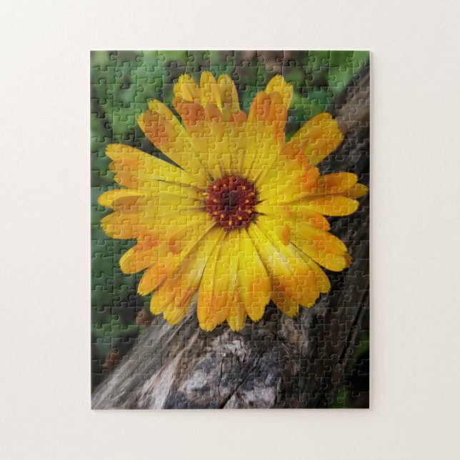 marigold on log jigsaw puzzle (Vertical)