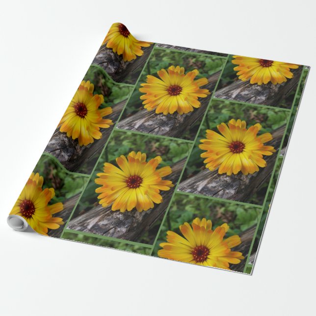 marigold on log wrapping paper (Unrolled)