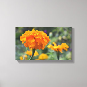 Marigold Orange Flower Nature Photography Garden Canvas Print