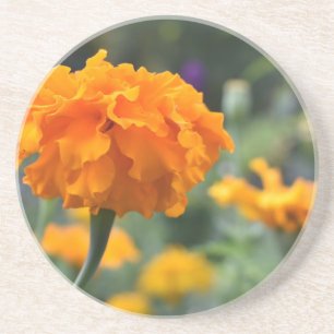 Marigold Orange Flower Nature Photography Garden Coaster