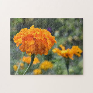 Marigold Orange Flower Nature Photography Garden Jigsaw Puzzle