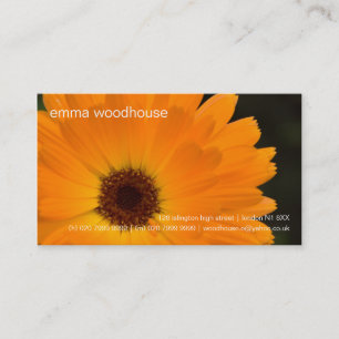 Marigold • Personal Business Card