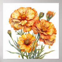 Marigold Print, Orange Flowers Wall Art 