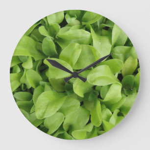 Marigold Seedlings Wall Clock