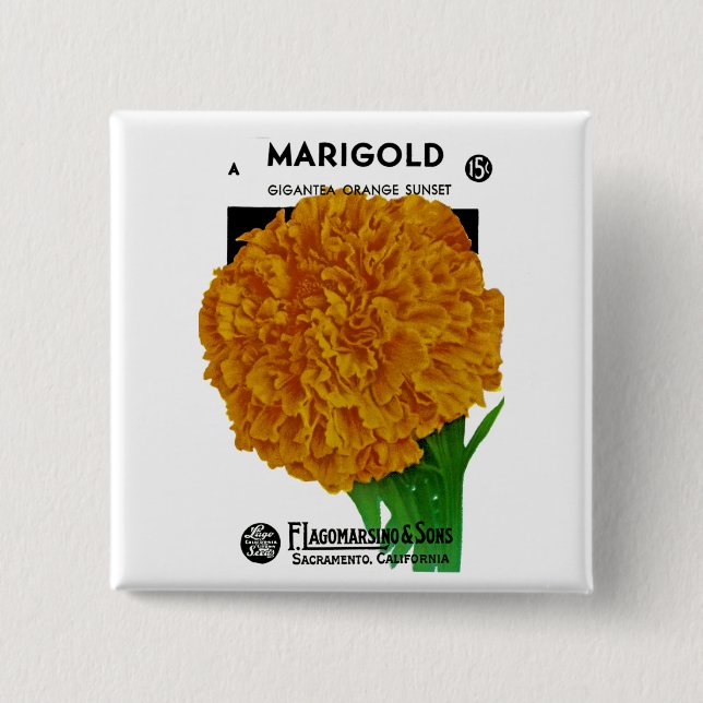 Marigold Vintage Seed Packet 15 Cm Square Badge (Front)