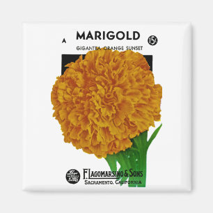 Marigold Vintage Seed Packet Magnet
