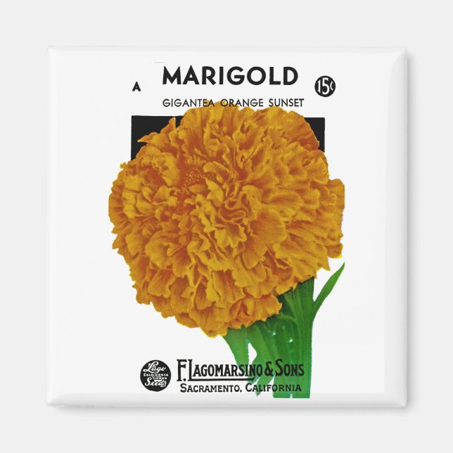 Marigold Vintage Seed Packet Magnet (Front)