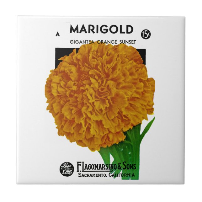 Marigold Vintage Seed Packet Tile (Front)